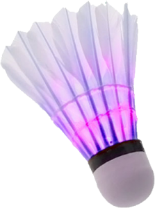 Badminton volant PNG image-10437